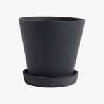 Coca-Cola Original Taste