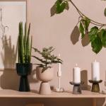 Extreme Budweiser Light Can