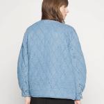 Extreme Budweiser Light Can